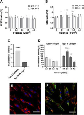 1540-nm fractional laser treatment modulates proliferation and neocollagenesis in cultured human dermal fibroblasts